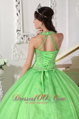 Spring Green Taffeta Organza Halter Sweet 16 Dress