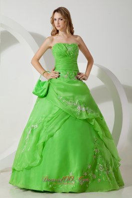 Spring Green Embroidery Floor-length Sweet 16 Dress