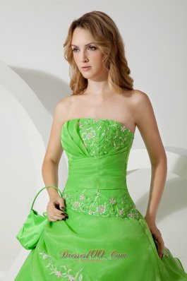 Spring Green Embroidery Floor-length Sweet 16 Dress