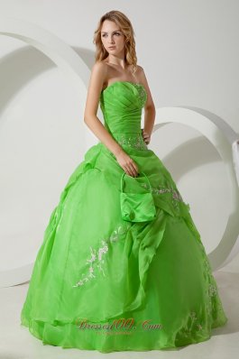 Spring Green Embroidery Floor-length Sweet 16 Dress