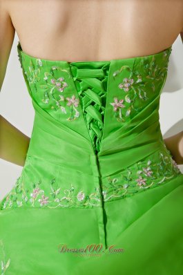 Spring Green Embroidery Floor-length Sweet 16 Dress