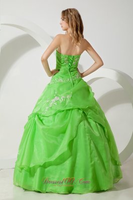 Spring Green Embroidery Floor-length Sweet 16 Dress