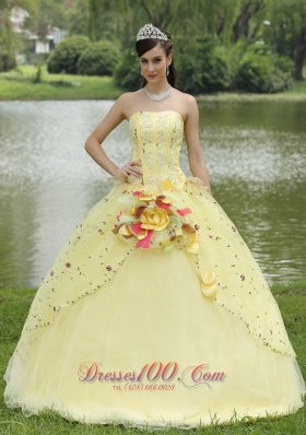 Light Yellow Hand Made Flowers Embroidery Quinceanera Dress