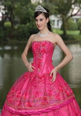 Hot Pink Hand Flowers Taffeta Strapless Quinceanea Dress