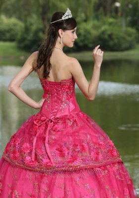 Hot Pink Hand Flowers Taffeta Strapless Quinceanea Dress