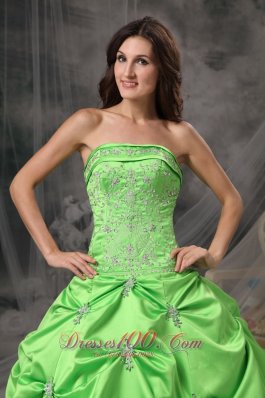 Spring Green Floor-length Taffeta Quinceanea Dress