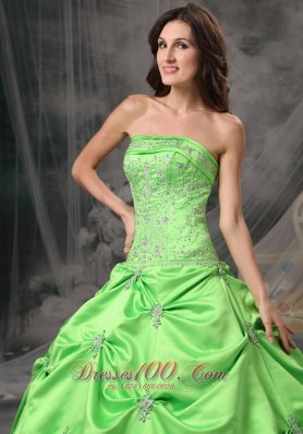 Spring Green Floor-length Taffeta Quinceanea Dress