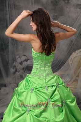 Spring Green Floor-length Taffeta Quinceanea Dress