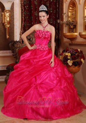 Cute Hot Pink Sweet 16 Dress Appliques Beading