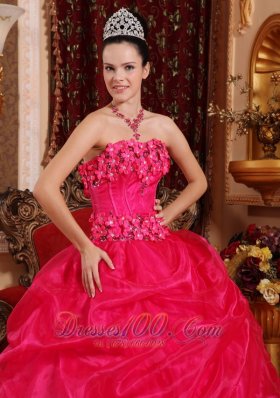 Cute Hot Pink Sweet 16 Dress Appliques Beading