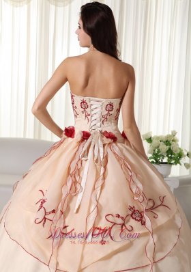 Sweetheart Champagne Organza Embroidery Quinceanera Dress