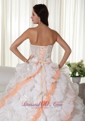 Colorful Puffy Organza Ball Gown Appliques Wedding Dress