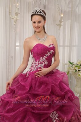 Sweet Sixteen Quinceanera Dresses Burgundy Zebra Decorate