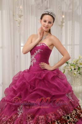 Sweet Sixteen Quinceanera Dresses Burgundy Zebra Decorate