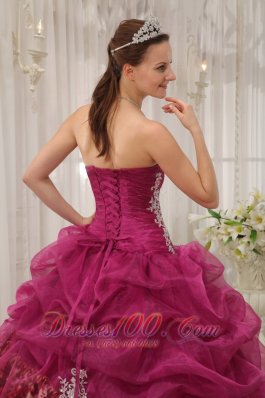 Sweet Sixteen Quinceanera Dresses Burgundy Zebra Decorate