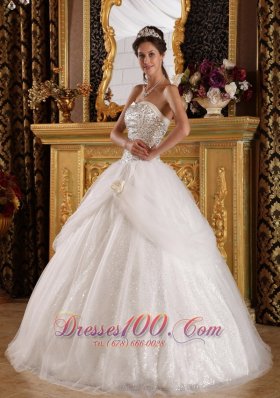 Popular Quinceanera Dress Sweetheart Organza Sequined