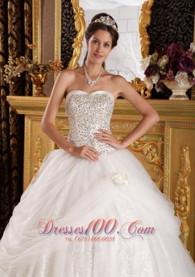 Popular Quinceanera Dress Sweetheart Organza Sequined