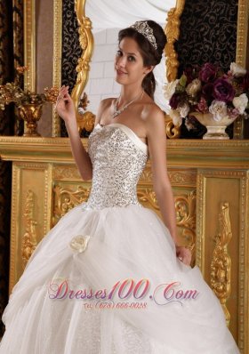 Popular Quinceanera Dress Sweetheart Organza Sequined