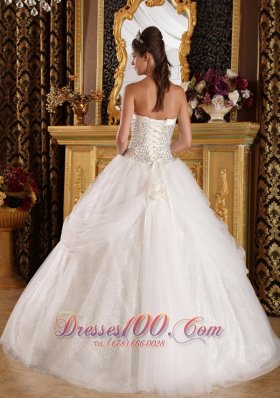 Popular Quinceanera Dress Sweetheart Organza Sequined