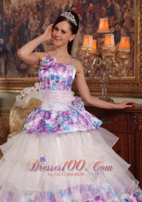 Elegant Quinceanera Dress Straps Floral Organza Printing