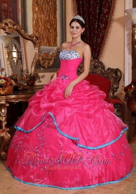 Rose Pink Quinceanera Dress Strapless Organza Appliques