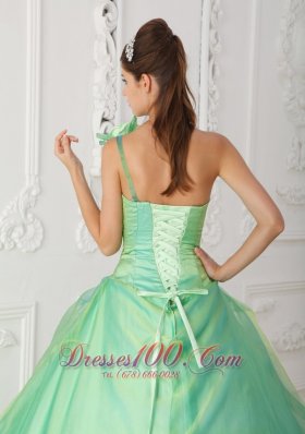 Trend Apple Green One Shoulder Organza Beading