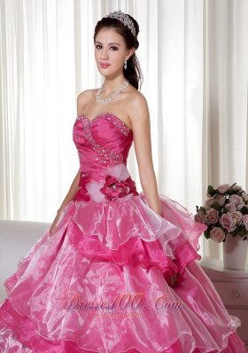 Sweetheart Taffeta Organza Beading Floral Quinceanera Dress