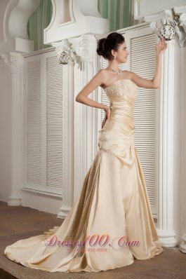 Appliques Court Champagne A-line Prom Pageant Gown