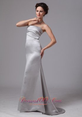 Customize Silver Brush Mother Of The Bride Dress