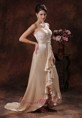 Elegant Champagne Brush Mother Dress Designer