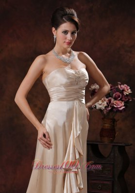 Elegant Champagne Brush Mother Dress Designer