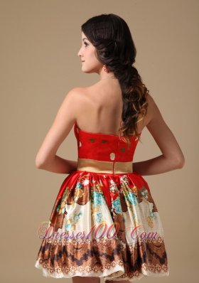 Multi-color A-line Mini Floral Printing Prom Holiday Dress