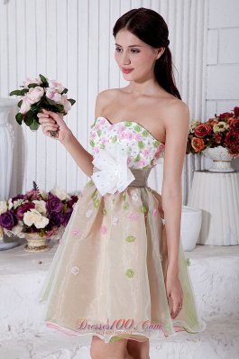 Colorful A-line Mini Appliques Prom Homecoming Dress