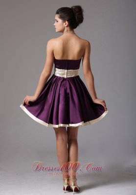 Dark Purple Prom Dress Sash Mini Champagne Bow