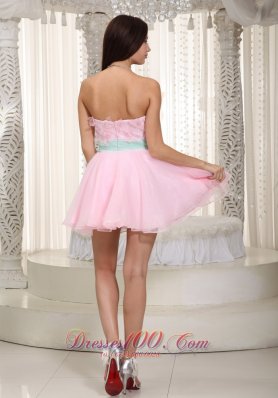 Baby Pink A-line Mini Floral Appliques Prom Dress