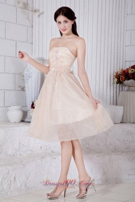 Champagne Short Appliques Prom Dress Knee-length