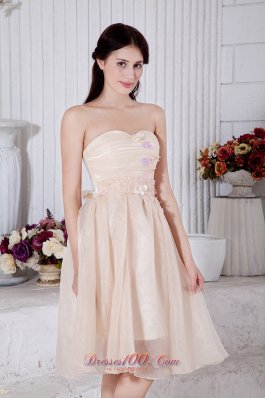 Champagne Short Appliques Prom Dress Knee-length