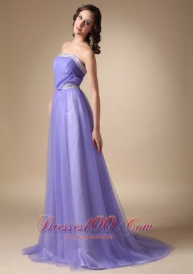 Lilac Strapless Taffeta and Tulle Prom Graduation Dress