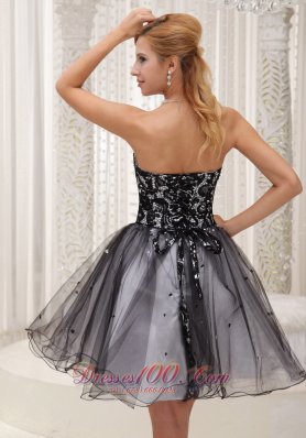 Sequins Cocktail Dress Lace Black and White Organza