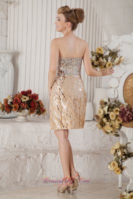 Champagne Sweetheart Short Prom Nightclub Dress Sequin Beading