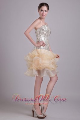 Prom Nightclub Gown Champagne Short Organza and Sequins