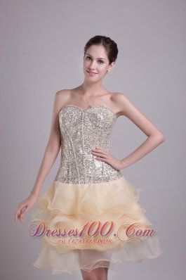 Prom Nightclub Gown Champagne Short Organza and Sequins