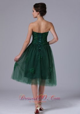 Dama Dresses Dark Green Sweetheart Tulle Short