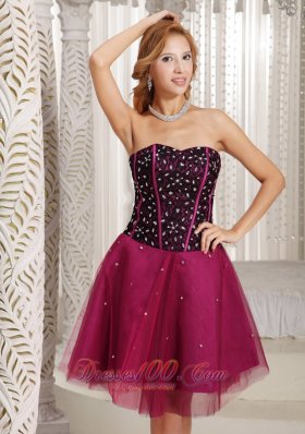 Fuchsia Beaded Cocktail Dress Tulle Corset 2013