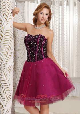 Fuchsia Beaded Cocktail Dress Tulle Corset 2013