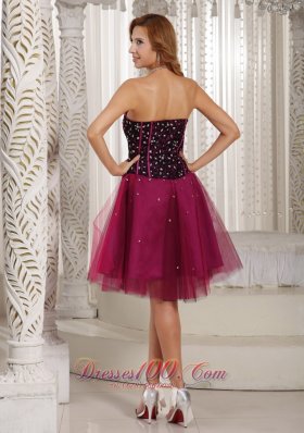 Fuchsia Beaded Cocktail Dress Tulle Corset 2013