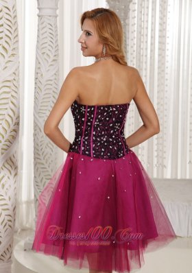 Fuchsia Beaded Cocktail Dress Tulle Corset 2013