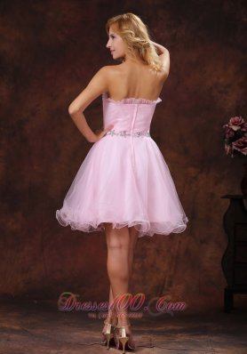 Baby Pink Organza Cocktail Prom Dress Mini Length