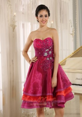 Multi-color Strapless Short Prom Dress Organza Beading