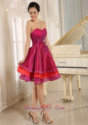 Multi-color Strapless Short Prom Dress Organza Beading